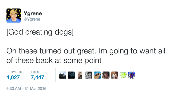 Dogs