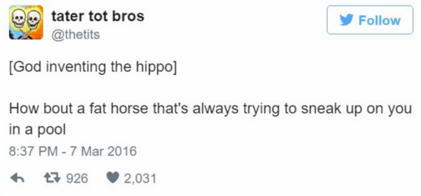 Hippos