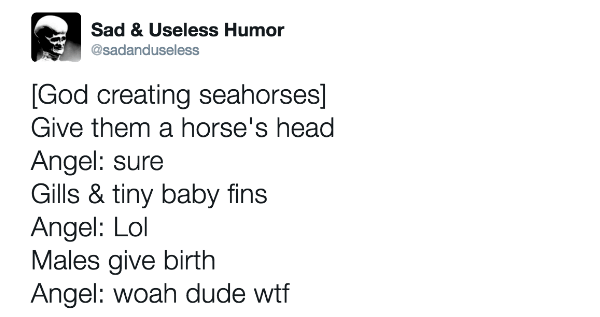 How God Created Seahorses