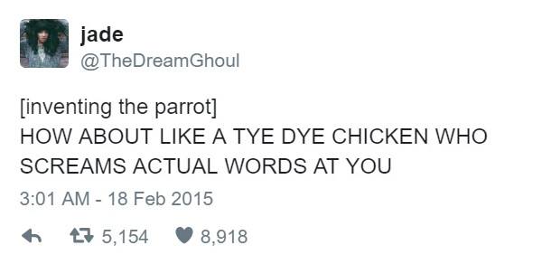 Parrots