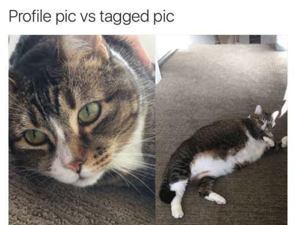 Profile Pic  Vs  Tagged Pic Fatcat