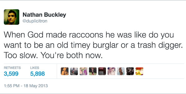 Raccoons