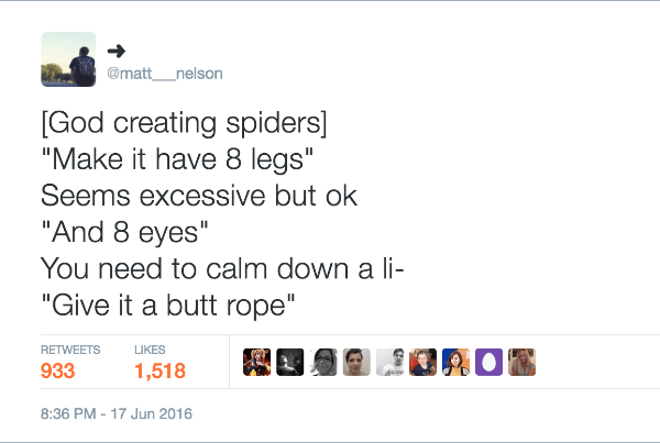 Spider