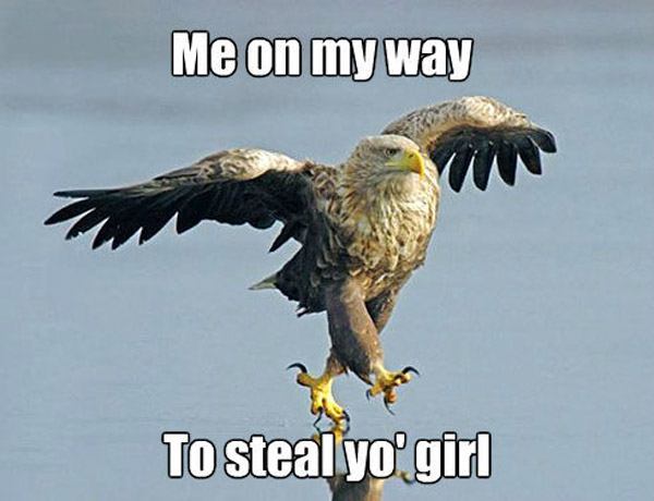 Strutting Eagle