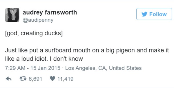 Surfboard Pigeon