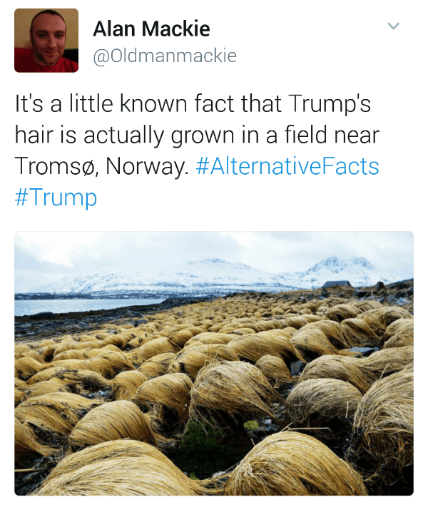 Trump Hair