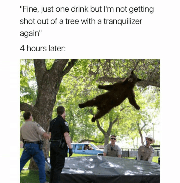 Bear Trampoline