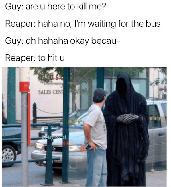 Bus