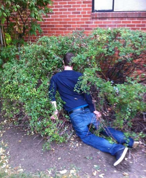 Bush Nap