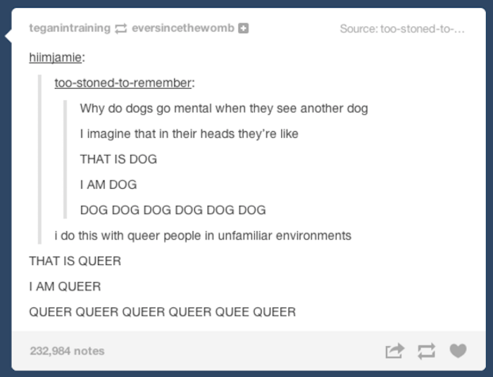 Dogs