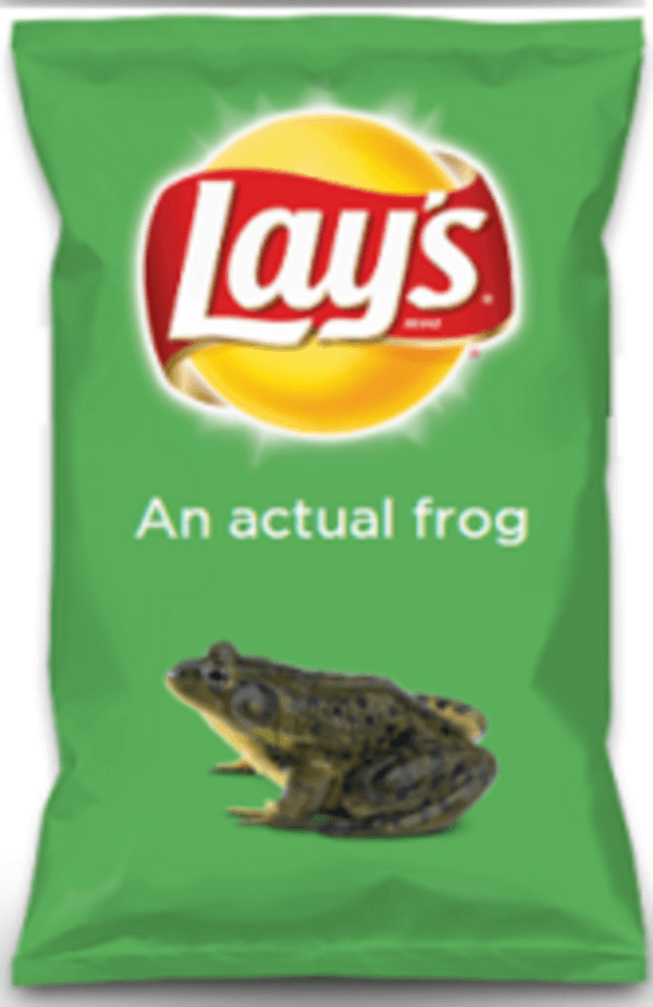 Frog