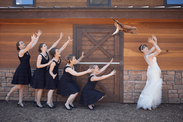 Black Dresses