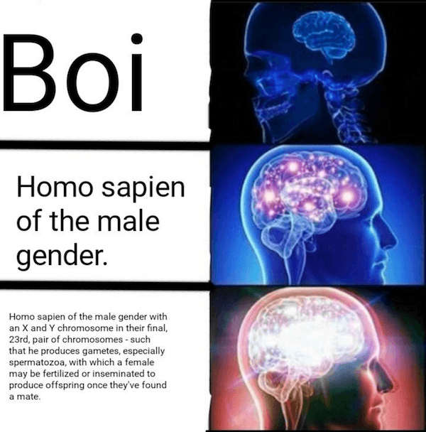 Boi