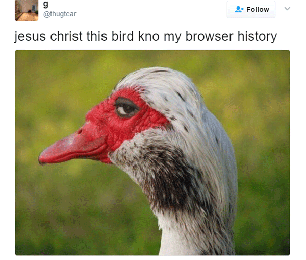 Browser History