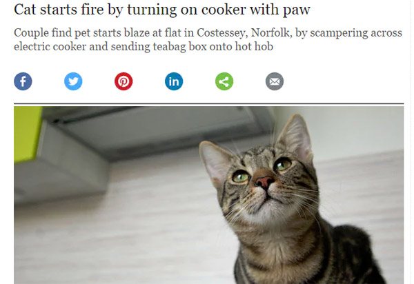 Cat Starts Fire