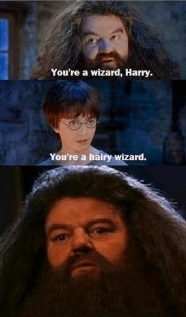 Hilarious Harry Potter Memes