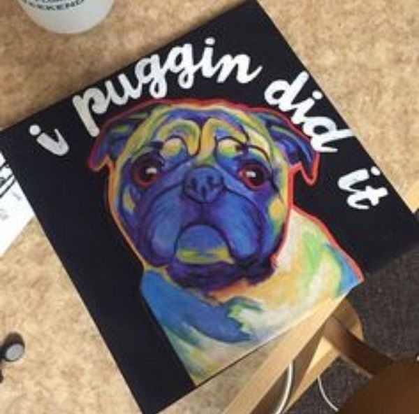 I Puggin Did It