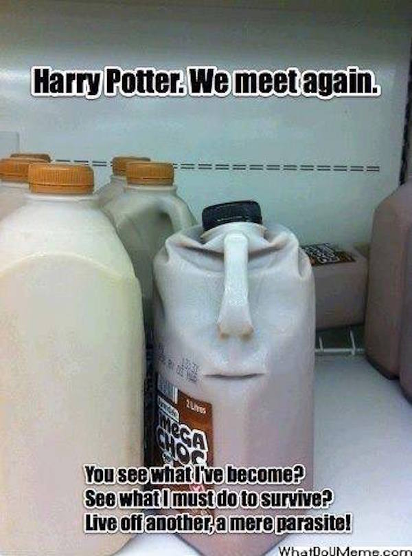 The Best Harry Potter Memes