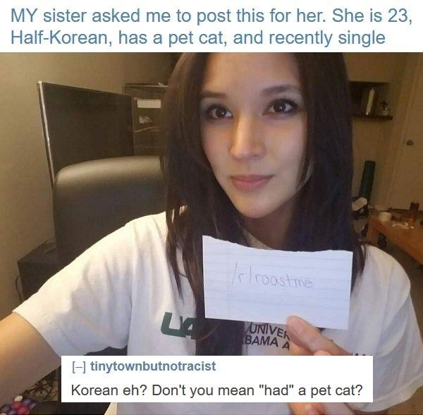 Pet Cat Reddit Roasts