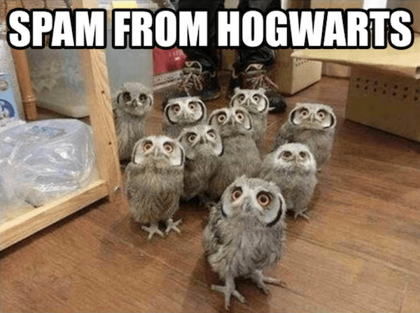 Funniest Harry Potter Memes