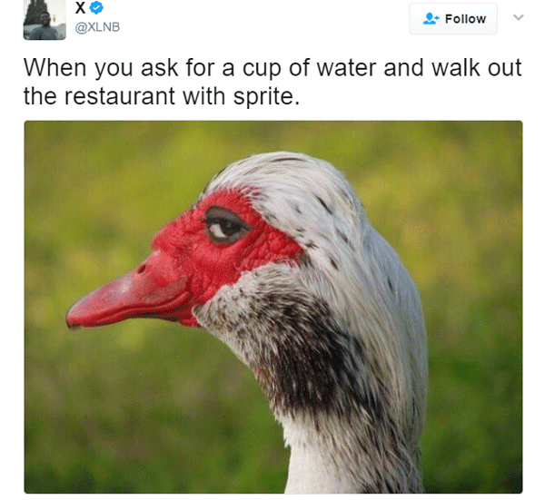 Water Sprite