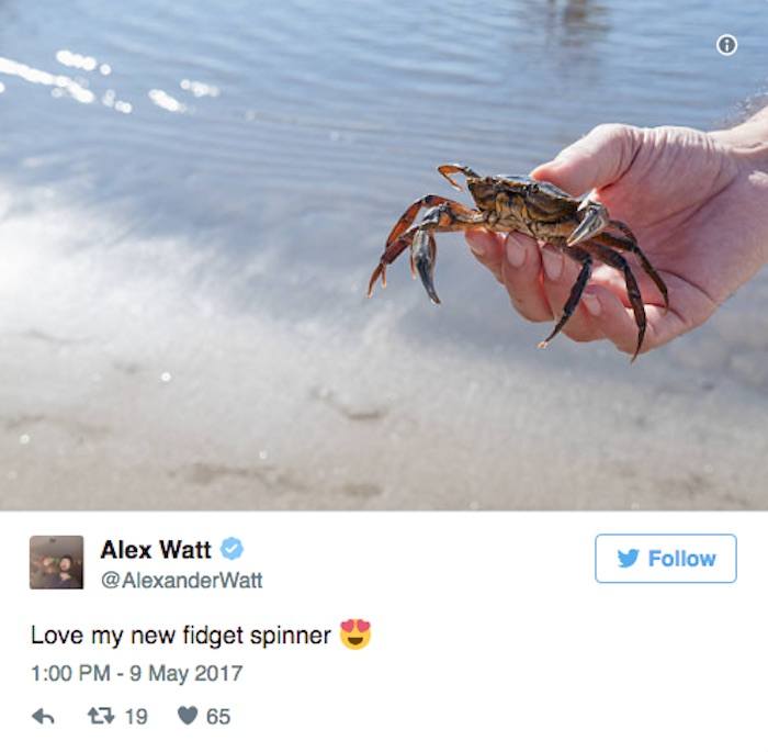 Crab