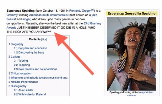 The Funniest Edits On Wikipedia