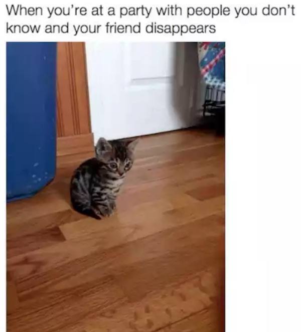 Friend Disappears