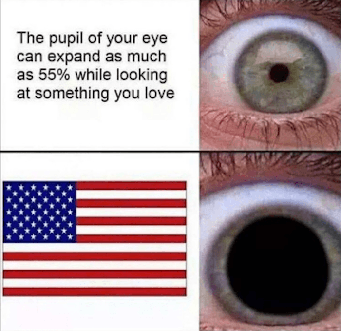 Pupil Funny Murica Memes