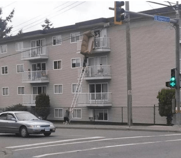 Couch Up Ladder