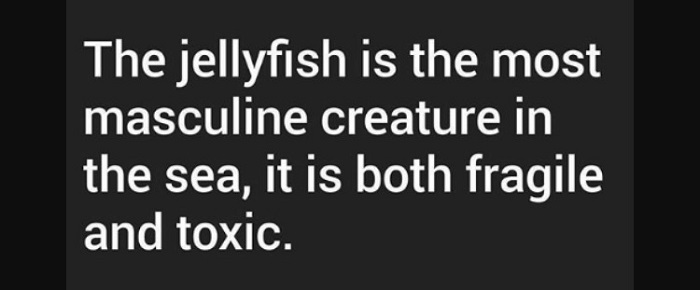 Jellyfish