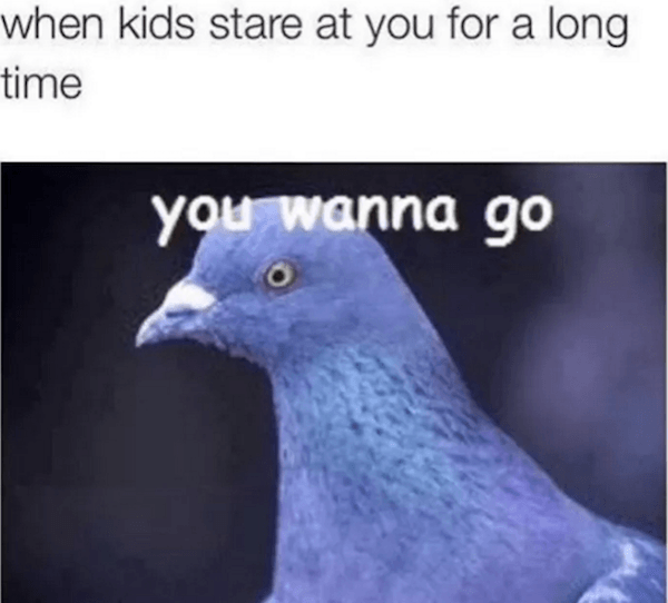 Pigeon