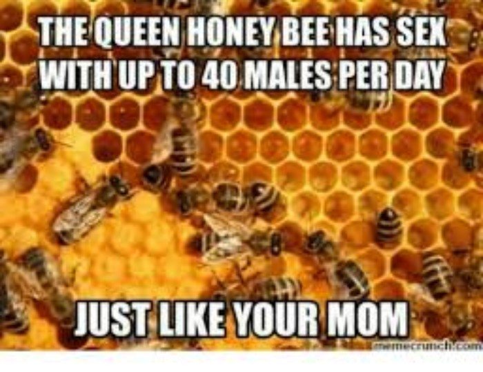 Queen Bee