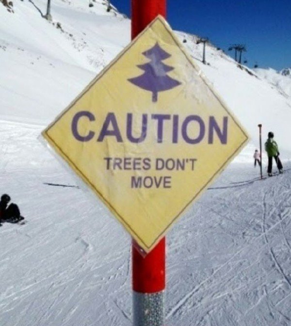 Trees Move