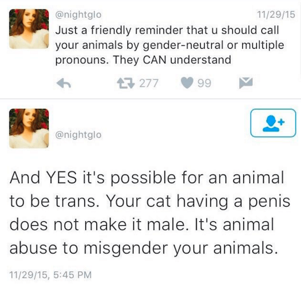 Animal Pronouns