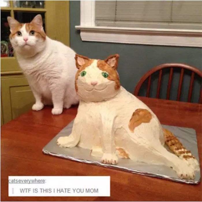 Cat Cake