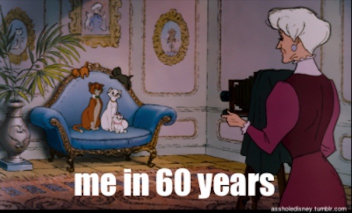 Disney Captions Cat Lady