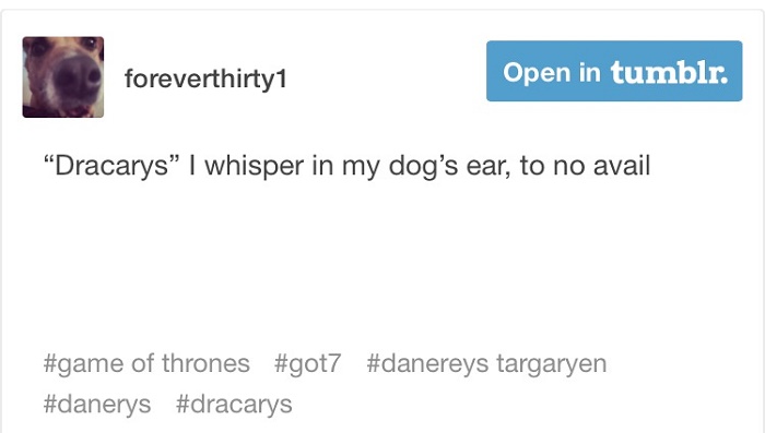 Dracarys Dog