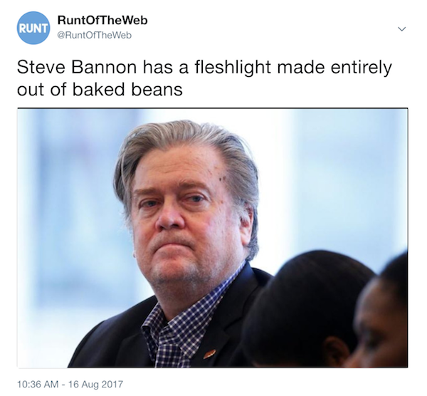 Steve Bannon's Fleshlight