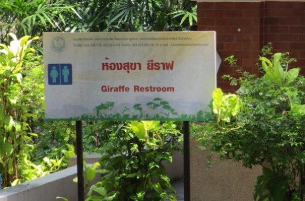 Giraffe Restroom