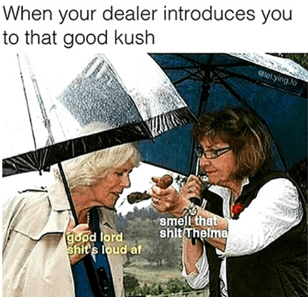 New Dealer