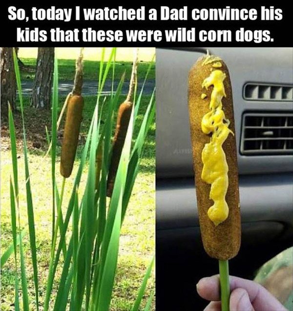 Wild Corndogs