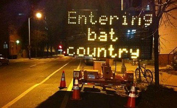 Bat Country