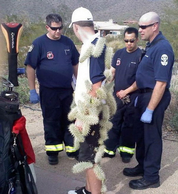 Cactus Guy