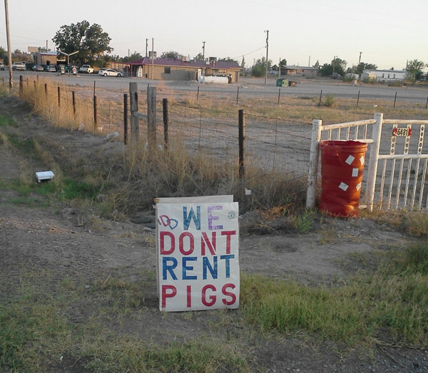 Pig Rent