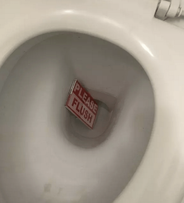 Please Flush