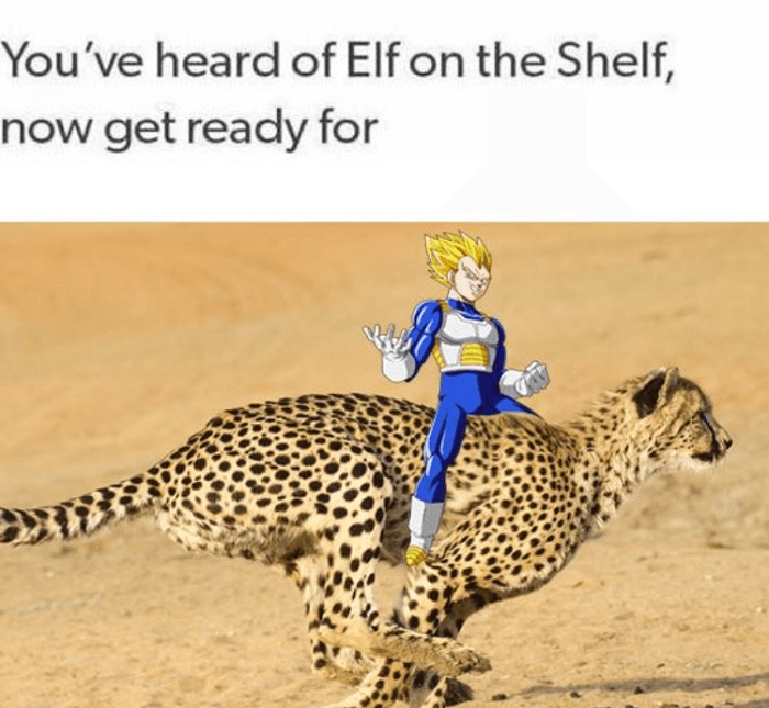 Vegeta On A Cheetah