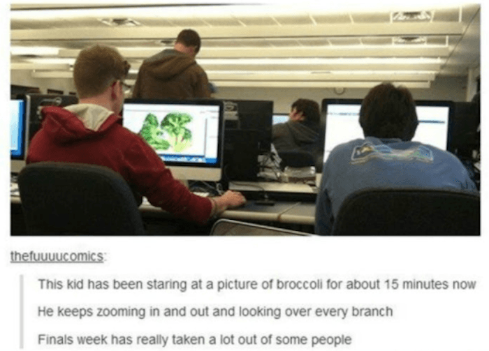 Broccoli