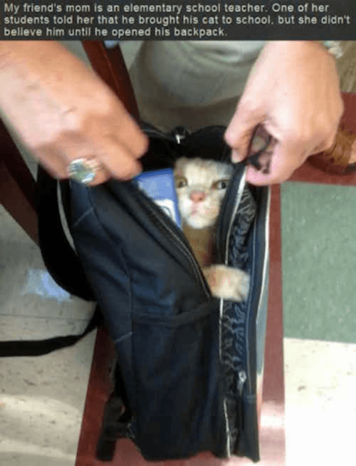 Cat Backpack