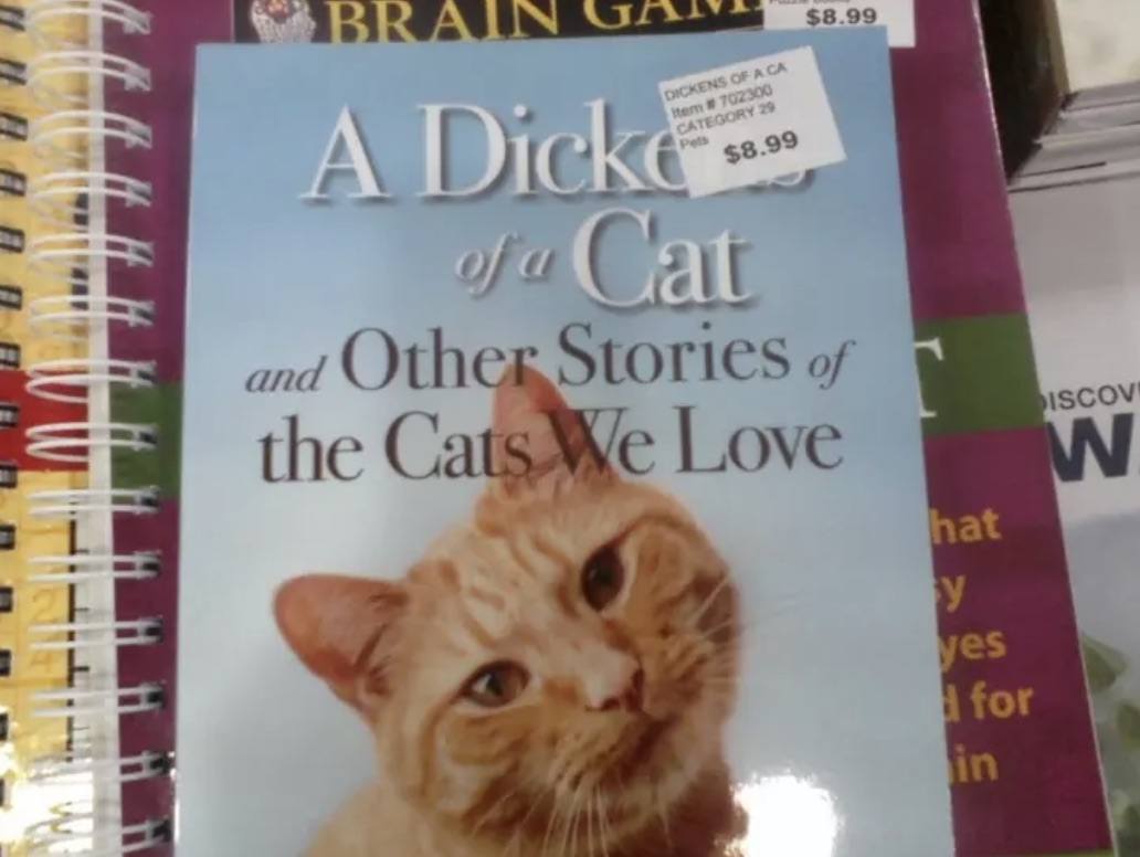 Cat Book